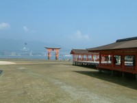 miyajima.jpg